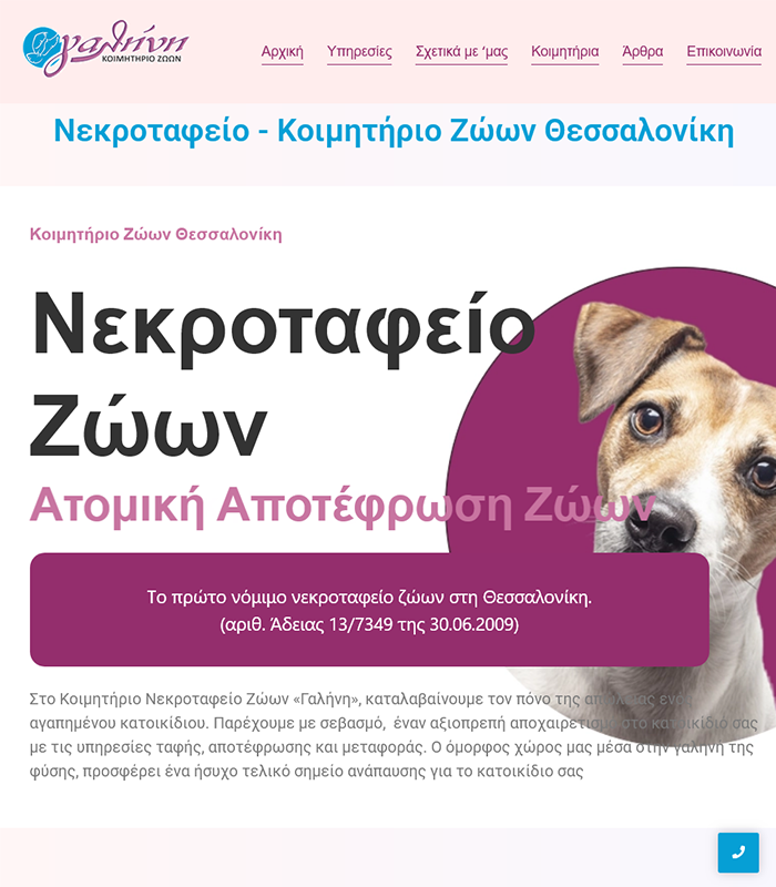 ΚΑΤΑΣΚΕΥΗ E-SHOP ΘΕΣΣΑΛΟΝΙΚΗ