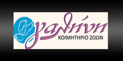 ΚΑΤΑΣΚΕΥΗ E-SHOP ΘΕΣΣΑΛΟΝΙΚΗ